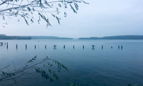 Zdj�cie POLSKA / Warmin�sko-mazurskie  / Olsztyn  / Kormorany nad jeziorem Ukiel