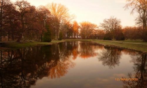 Zdjecie POLSKA / Mazowsze / Park w Nieborowie / przedwiosnie o zachodzie słonca
