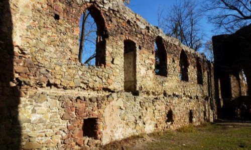 Zdjcie POLSKA / Dolny lsk / Wabrzych / Stary Ksi