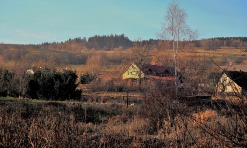 Zdjcie POLSKA / Dolny lsk / Leszczyniec / grudniowy Leszczyniec...