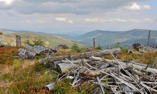 Zdjecie POLSKA / wojewdztwo lskie / Beskid lski / by kornik, s widoki