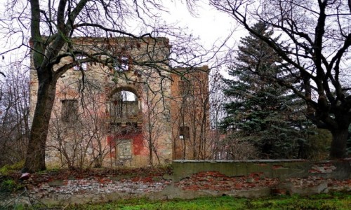 Zdjecie POLSKA / dolnolskie / Biaobrzezie / Ruina dworu, w deszczu.