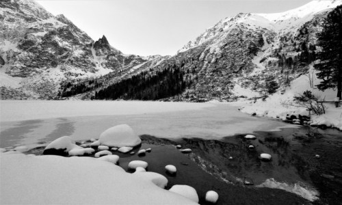 Zdjecie POLSKA / Tatry / . / Morskie Oko w bieli