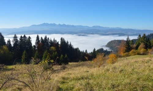 Zdjecie POLSKA / Maopolska / Pieniny / Nad Pierzynk