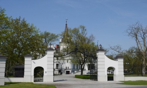 Zdjcie POLSKA / wielkopolskie / Tarce / Paac 