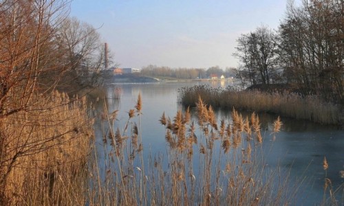 Zdjcie POLSKA / opolskie / Nad Odr / Zalew w zimie