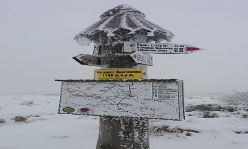 Zdjcie POLSKA / Bieszczady / Przecz Goprowska / Na rozstaju