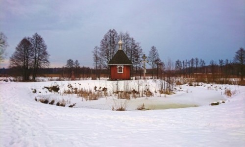 Zdjecie POLSKA / podlaskie / Biaowiea / Zimowe Podlasie. Skansen w Biaowiey