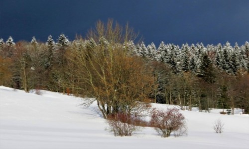 Zdjecie POLSKA / Dolny lsk / Rudawski Park Krajobrazowy / granatowo...