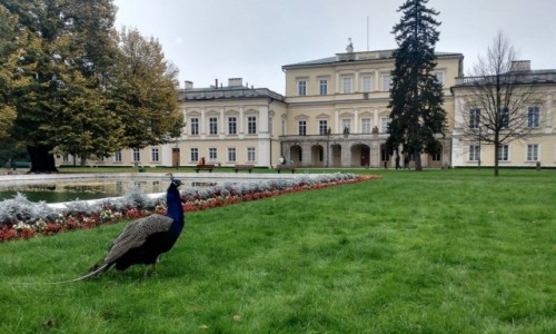 Zdjecie POLSKA / Lubelszczyzna / Puawy / Paacowy stranik