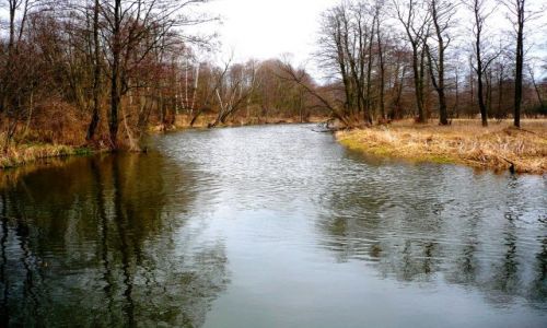 Zdjecie POLSKA / mazowsze / mazowsze / u produ wiosny... 1