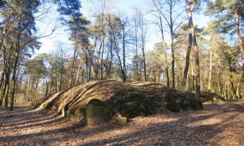 Zdjcie POLSKA / kujawsko-pomorskie / Wietrzychowice / Z serii Polska megalityczna: Wietrzychowice, grobowce kujawskie sprzed 6000 lat