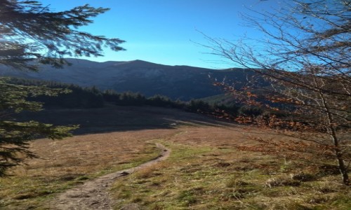 Zdjecie POLSKA / - / Tatry / Tatry