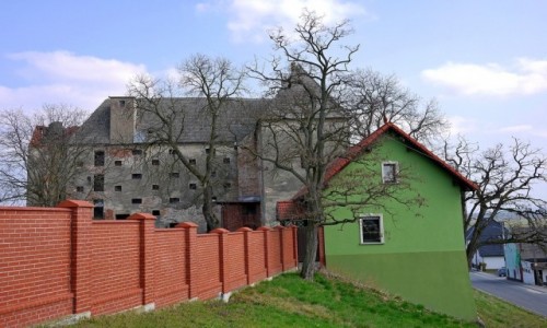 Zdjecie POLSKA / opolskie / Ziemnice Mae / Spirzch zamek