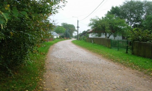 Zdjecie POLSKA / Podlasie / Puchy gmina Narew / Czar Podlasia