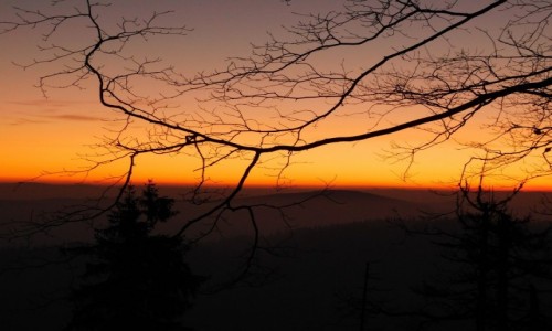 Zdjcie POLSKA / Pieniny / Wysoka / Wschd w Pieninach