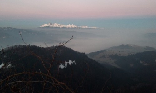 Zdjcie POLSKA / Pieniny / Wysoka / widok z Wysokiej na Tatry