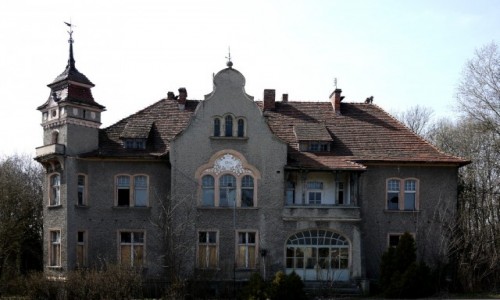 Zdjecie POLSKA / opolskie / Kozowice / Fronton paacu