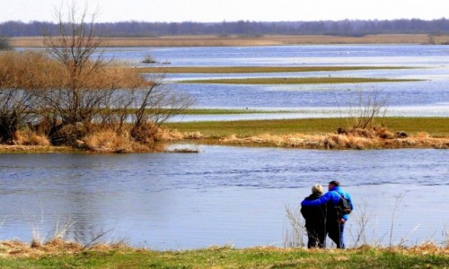 Zdjcie POLSKA / Podlasie / Burzyn / Wiosna nad Biebrz.