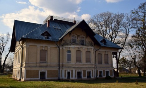 Zdjęcie POLSKA / Śląsk / TOSZEK / Pałacyk