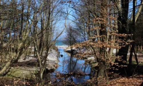 Zdjecie POLSKA / pomorskie / Osieki / bezimienna