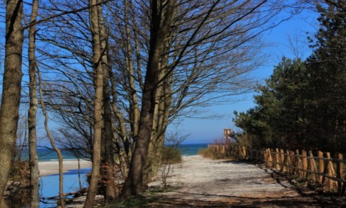 Zdjecie POLSKA / pomorskie / Osieki / bezimienna