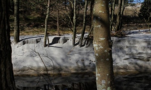 Zdjecie POLSKA / pomorskie / Osieki / bezimienna