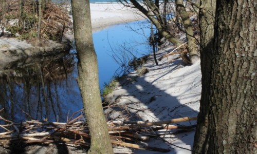 Zdjecie POLSKA / pomorskie / Osieki / bezimienna