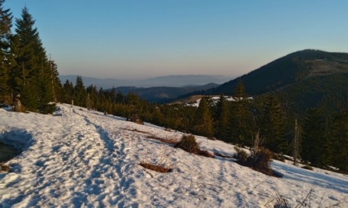 Zdjęcie POLSKA / Beskidy / rysianka / widok na Romankę