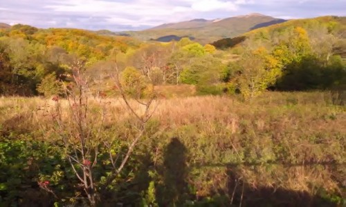Zdjecie POLSKA / - / Bieszczady / Jesienne Bieszczady