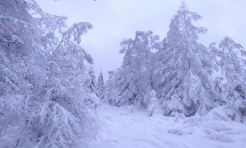 Zdjecie POLSKA / - / Bieszczady / Nowy rok na Połoninach