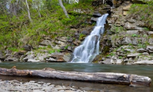 Zdjęcie POLSKA / Podkarpacie / Okolice Pszczelin / Efektowne Połączenie