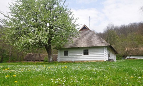 Zdjecie POLSKA / podkarpackie / Sanok / Wiosna w skansenie
