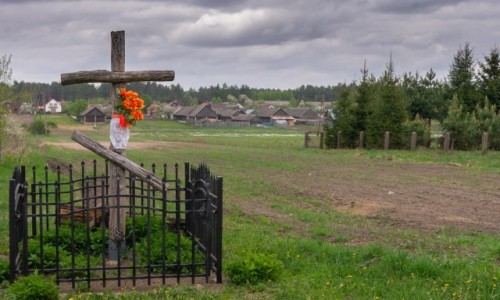 Zdjcie POLSKA / Podlasie / Soce / Przydrony