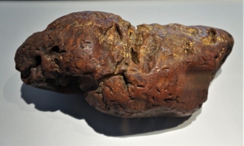 Zdjęcie POLSKA / Gdańsk / Muzeum Bursztynu / Kilkukilogramowa bryłka