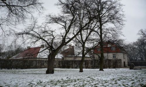 Zdjecie POLSKA / Mazowsze / Nieborow / w sniegowej szacie