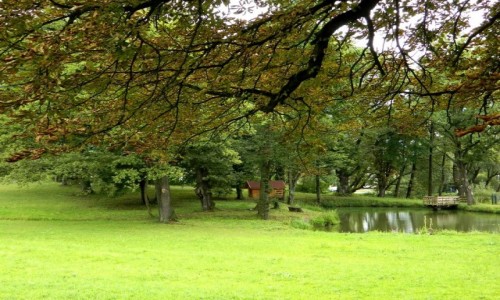 Zdjcie POLSKA / podkarpackie / Jurowce / Park przypaacowy