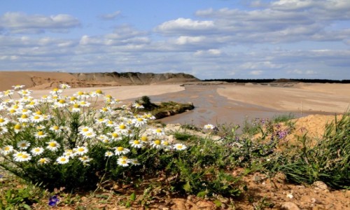 Zdjęcie POLSKA / Podlasie / Drahle / Czekając na rekultywację...