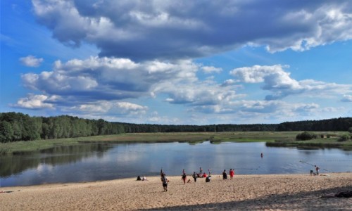 Zdjcie POLSKA / Roztocze / Roztoczaski Park Narodowy, staw Echo (Zwierzyniec) / szukajc chodu...