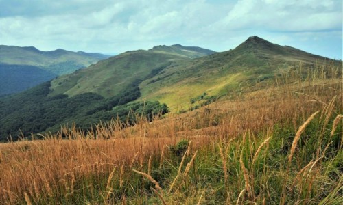 Zdjecie POLSKA / Bieszczady / na szlaku Woosate - Halicz - Tarnica - Woosate / potrafi zauroczy...