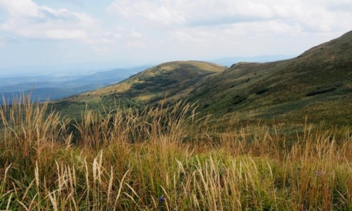 Zdjęcie POLSKA / Bieszczady / na  szlaku : Wołosate - Halicz -Tarnica- Wołosate / łagodnie...