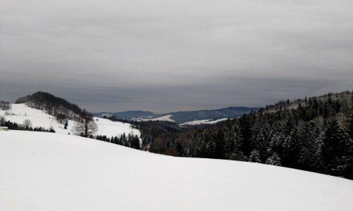 Zdjecie POLSKA / - / W drodze na Wysoka / Szczawnica