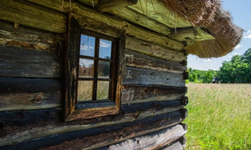 Zdjęcie POLSKA / Białowieża / Białowieża / Chatka