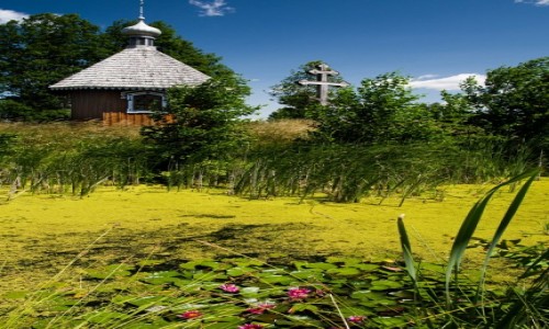 Zdjęcie POLSKA / Białowieża / Białowieża / Nad stawem