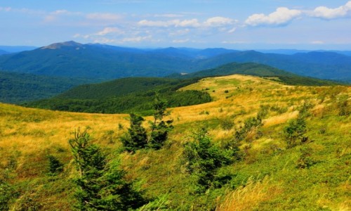 Zdjcie POLSKA / Bieszczady / Bukowe Berdo / cign si bez kresu...