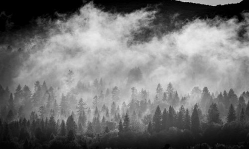 Zdjcie POLSKA / Bieszczady / Tarnawa Nina / W oparach