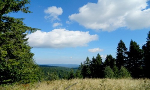 Zdjcie POLSKA / maopolskie / Jaworzyna Krynicka / Na szlaku do schroniska PTTK