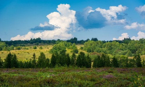 Zdjecie POLSKA / Bieszczady / Torfowisko Dwiniacz / Widokowo