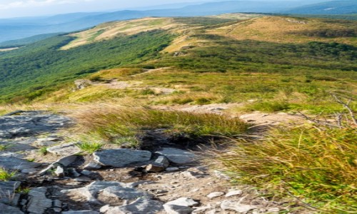 Zdjecie POLSKA / Bieszczady / Na trasie - Bukowe Berdo / Po grzbiecie