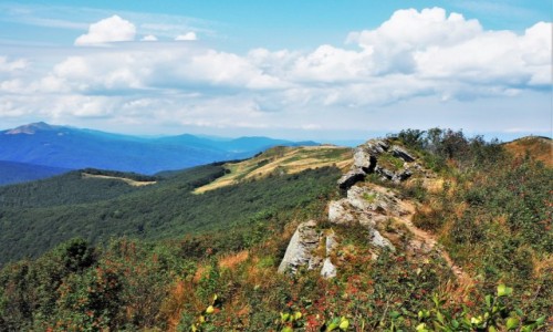 Zdjecie POLSKA / Bieszczady / Bukowe Berdo / oboki s tak biae...
